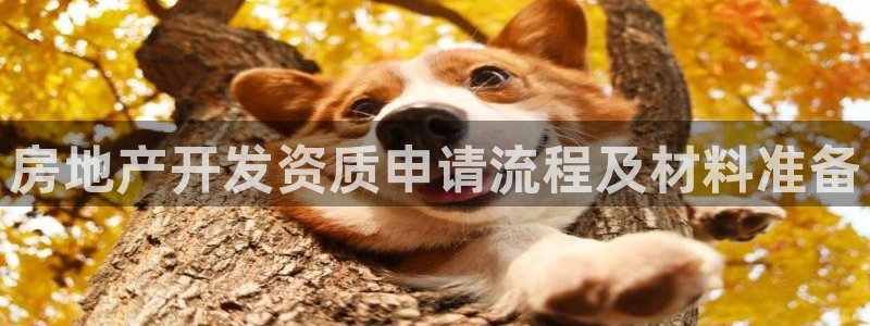 永利建筑工程有限公司董事长