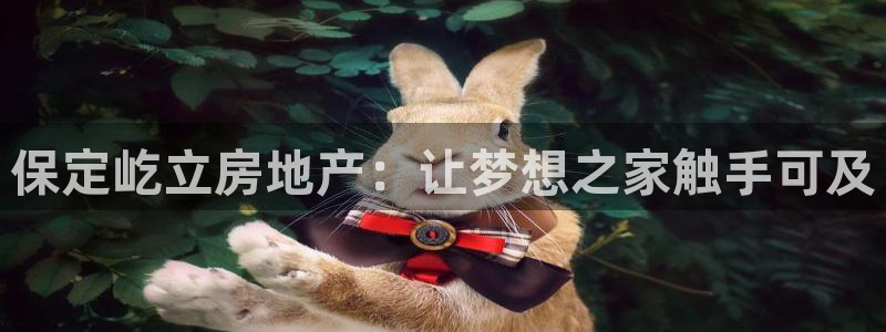 永利带业 皮带 输送带 价格