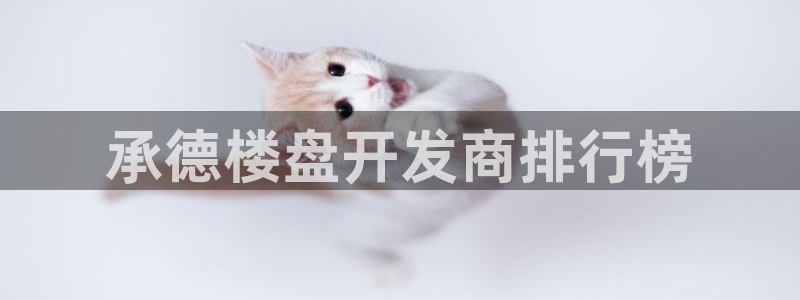 永利 官网