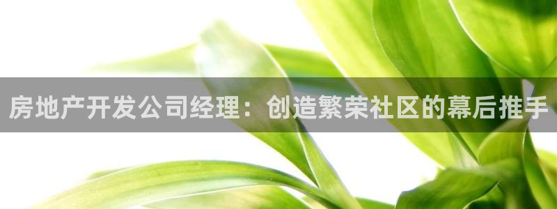 永利属于哪个集团