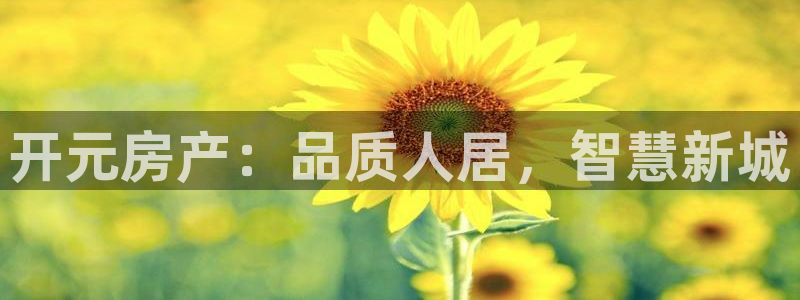 永利皮具lv工厂