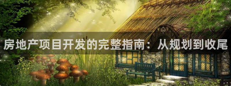佛山永利工业皮带
