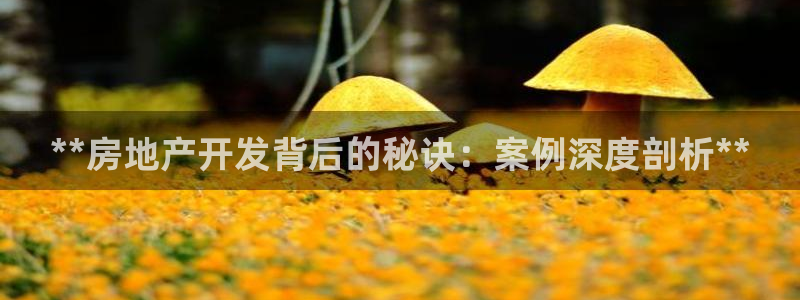 永利置业