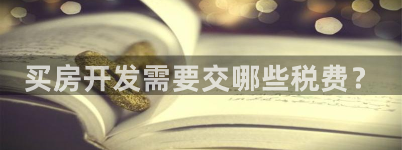 永利地产