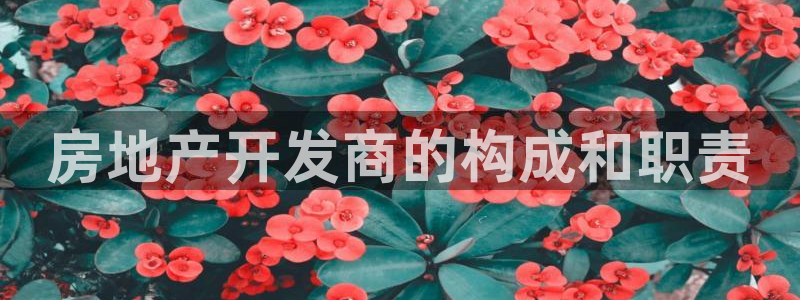 永利传送带业务
