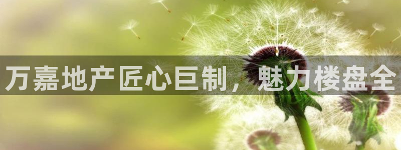 永利汇客房价格