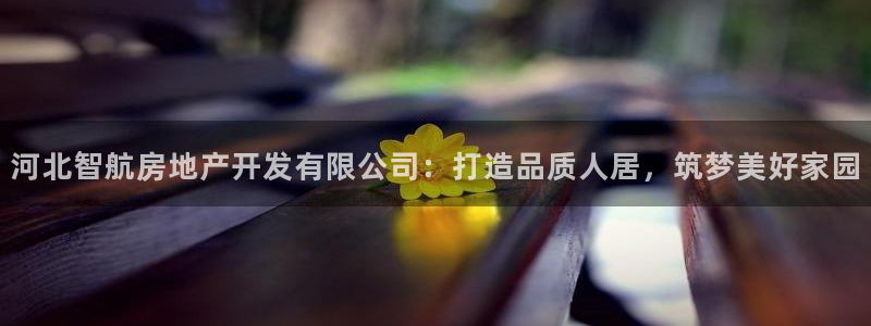 永利厂牌