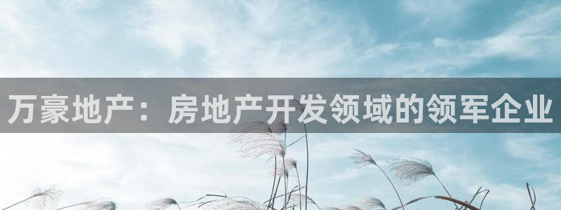 永利皮带官网旗舰店地址