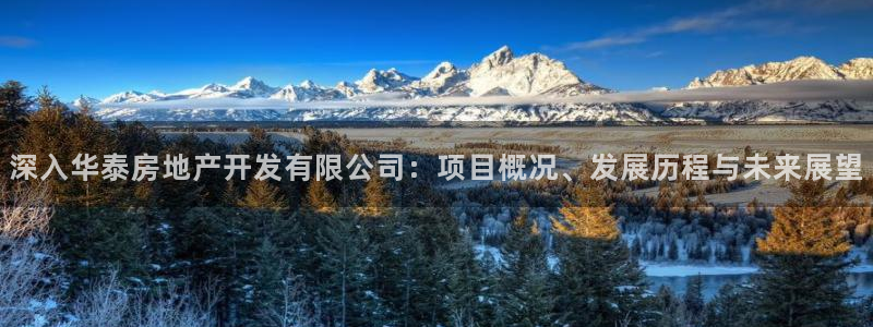 永利包装