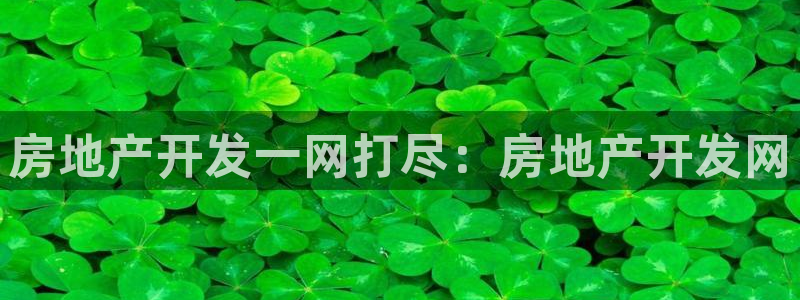 永利 官网