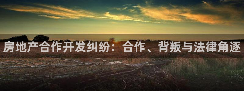 永利地产