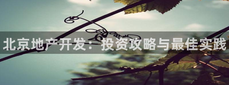 永利链条