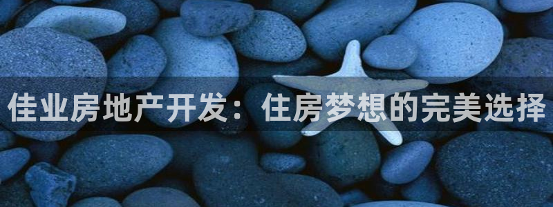 永利股份有限公司介绍