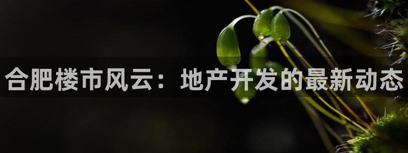 永利被黑取款通道维护不给出款怎么办