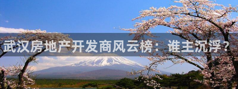 永利充值第三方交易是什么