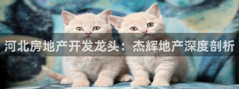 永利官网正网