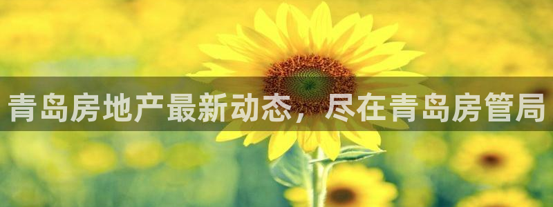 永利二维码推广