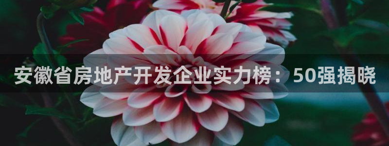 澳门永利是真的假的