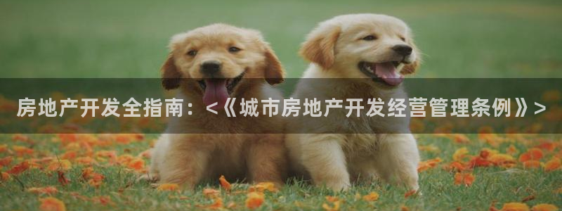 永利骗局