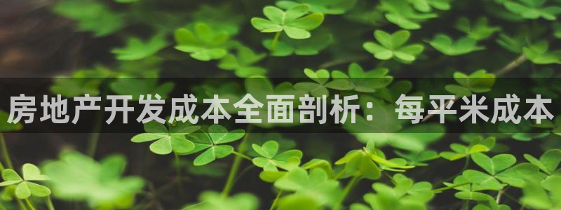 永利来织带厂
