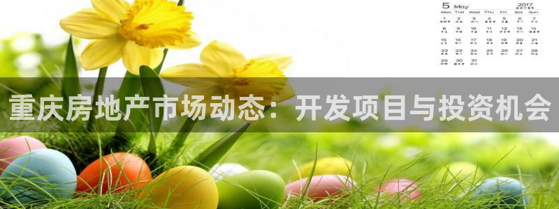 永利积分卡怎么算的