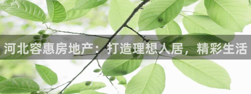 永利汇养生会所