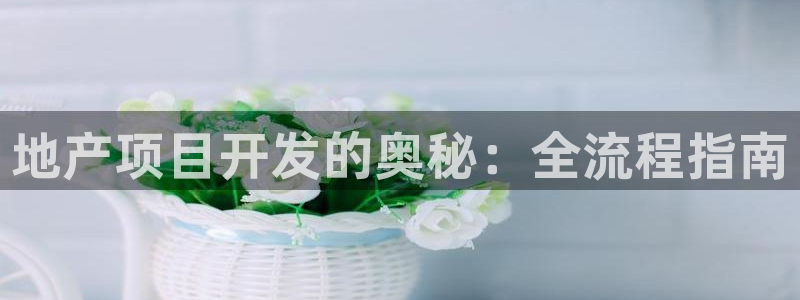 永利睹钱