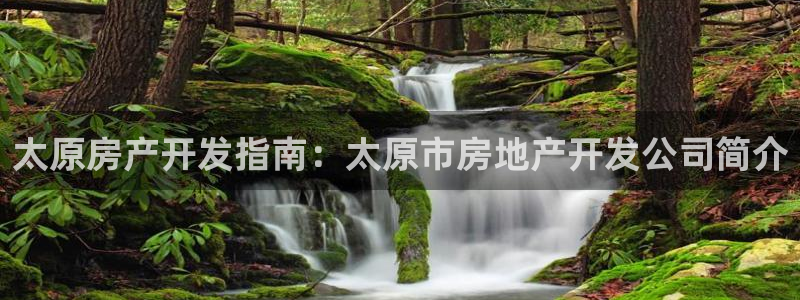 永利中国