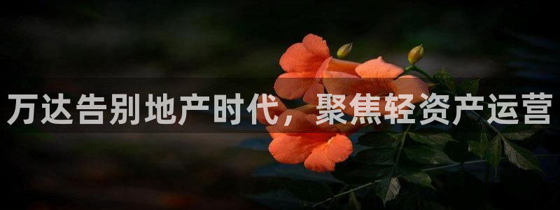 304.cam永利集团