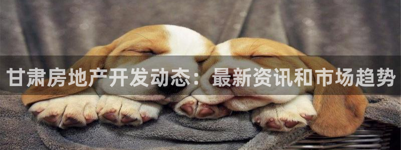 永利赚钱
