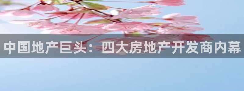 3044am永利集团公司背景