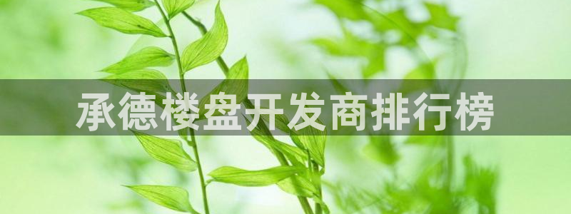 永利金文化有限公司