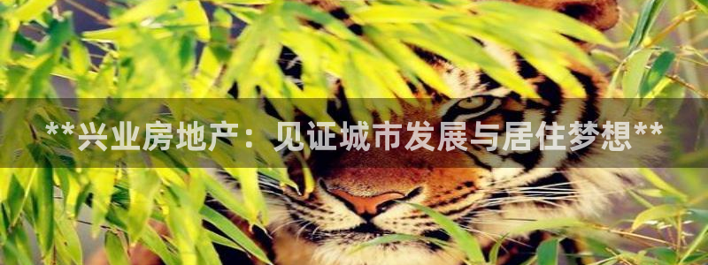 永利带业招聘