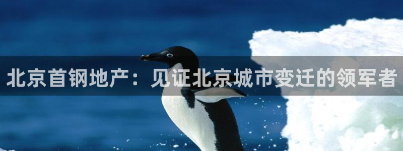 8876138永利出钱不成功