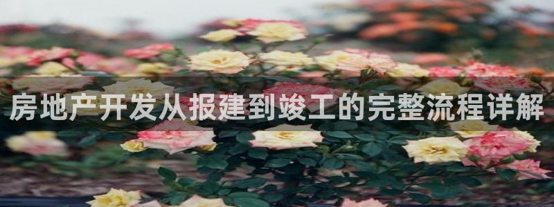 永利股份怎么样