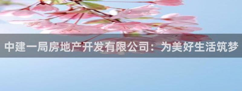 永利皮带官网价格查询