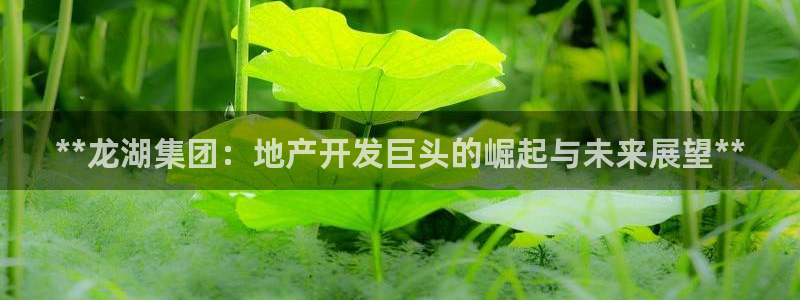 永利酒店老板是谁