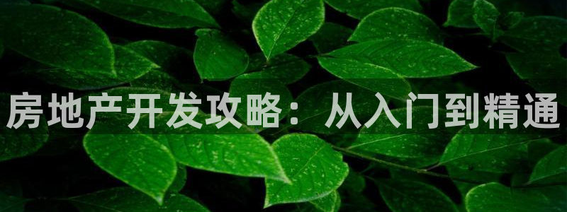 永利建筑材料有限责任公司