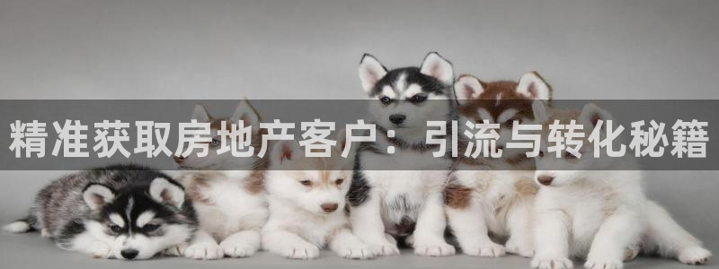 永利服装有限公司