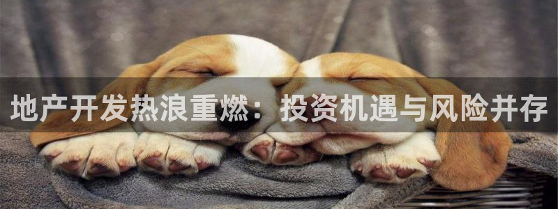 永利股份做什么