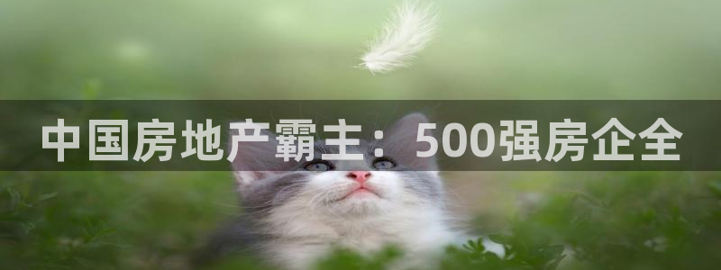 永利 老板