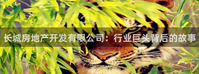 永利酒店管理有限公司