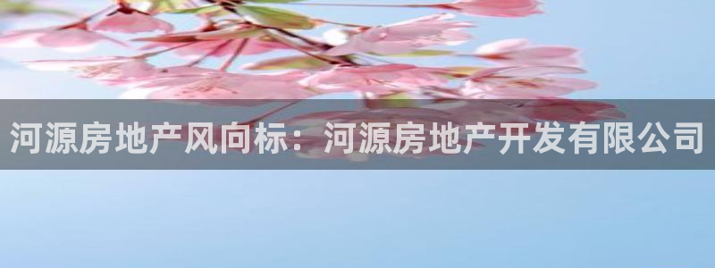 永利建筑工程有限公司董事长