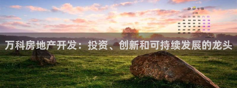 永利贵宾厅出不了款怎么办