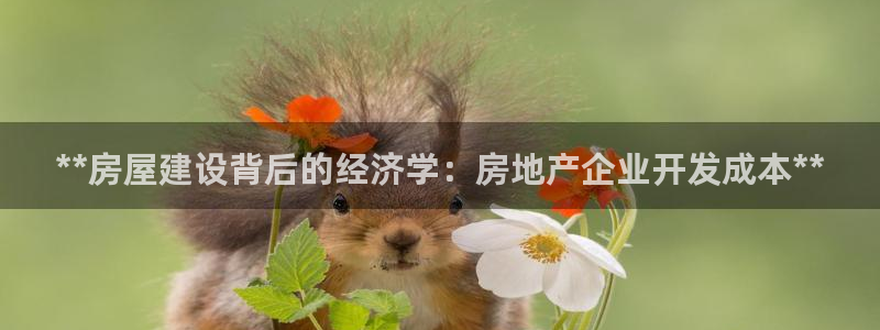 永利带业招聘