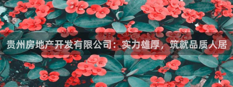 永利投资合法吗