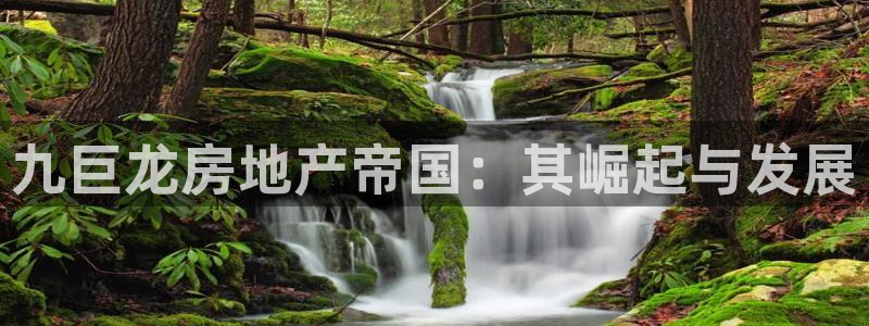 永利 官网