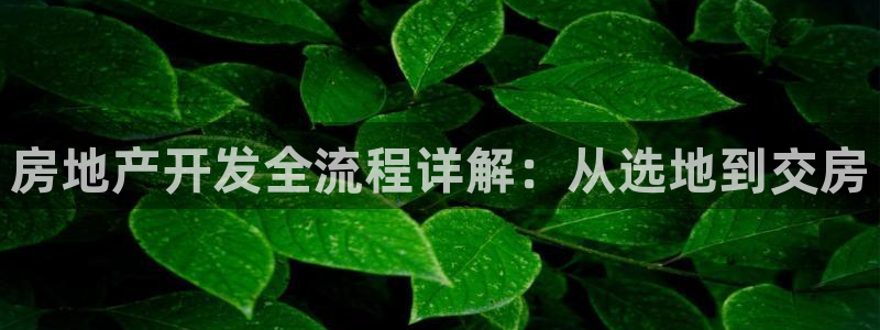 永利带业股票