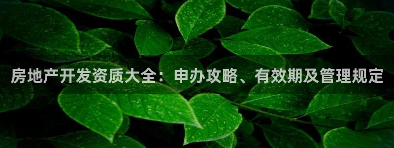 山东永利新材料