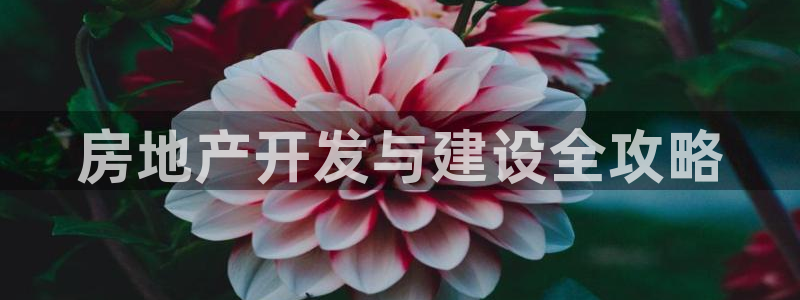 永利投资合法吗